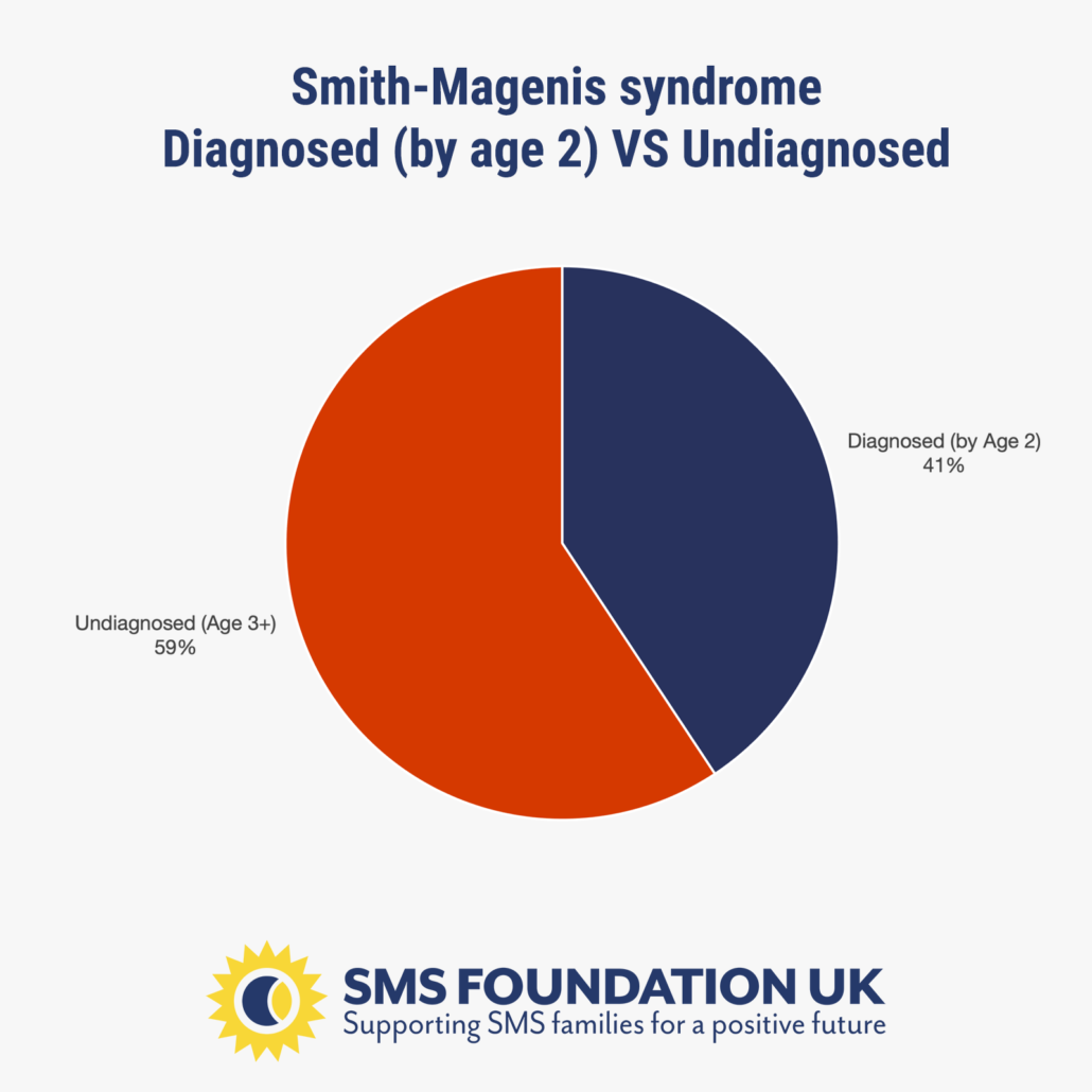 Diagnosed by Age 2 vs undiagnosed pie chart