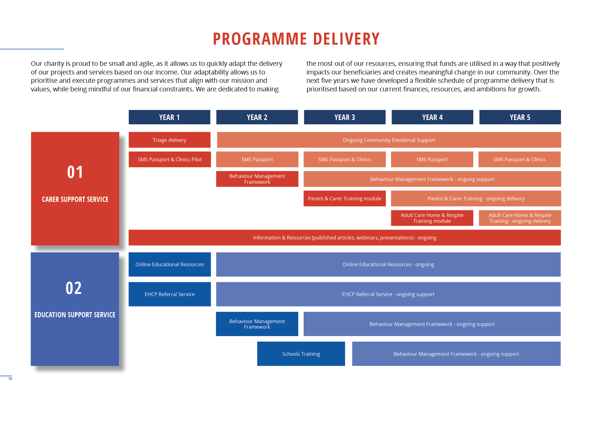 Programme Delivery for SMS Foundation infographic