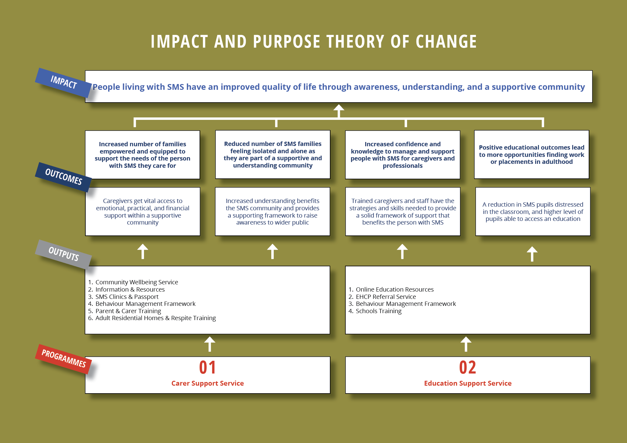 SMS Foundation Theory of Change and Impact infographic