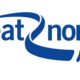 Great North Run logo